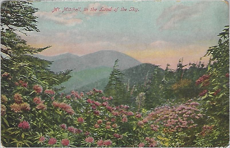 Mt. Mitchell, in the Land of the Sky x19-bbcb219a01-f