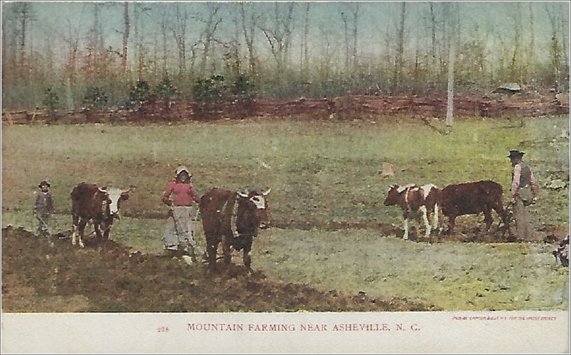 Mountain Farming near Asheville NC x19-cg0228a01-f