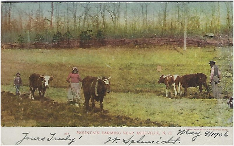 Mountain Farming near Asheville NC x19-cg0228a02-f