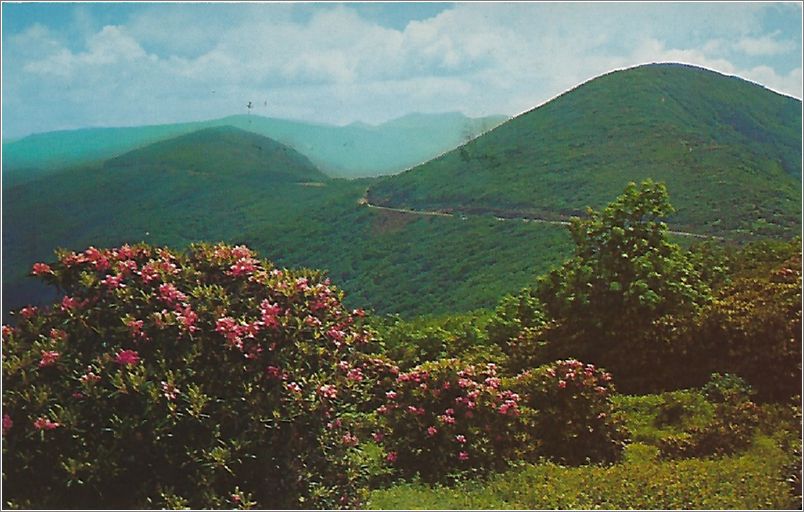 Blue Ridge Parkway at Craggy Gardens, Western North Carolina x19-ckam33a01-f