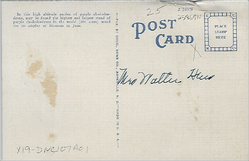 x19-dnc107a01-r x19-dnc107a01-r