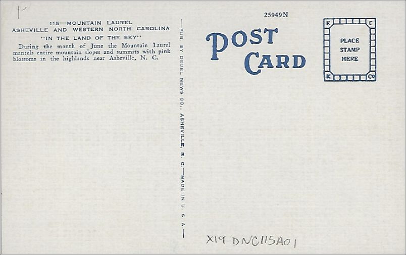 x19-dnc115a01-r x19-dnc115a01-r