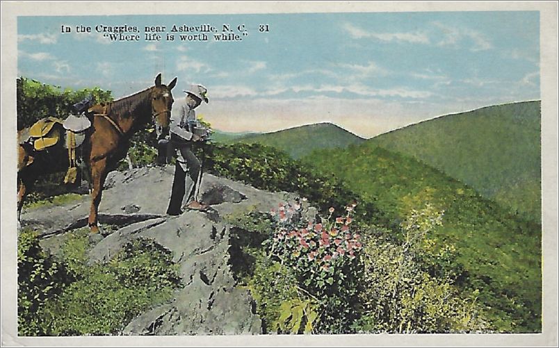 In the Craggies, near Asheville NC,
