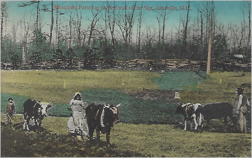 Mountain Farming in the Land of the Sky, Asheville NC x19-hmc15035a01-f