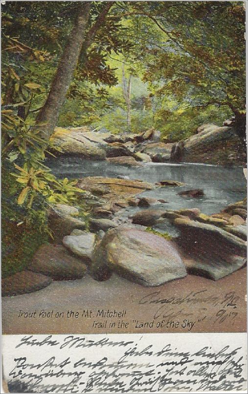 Trout Pool on the Mt Mitchell Trail in the
