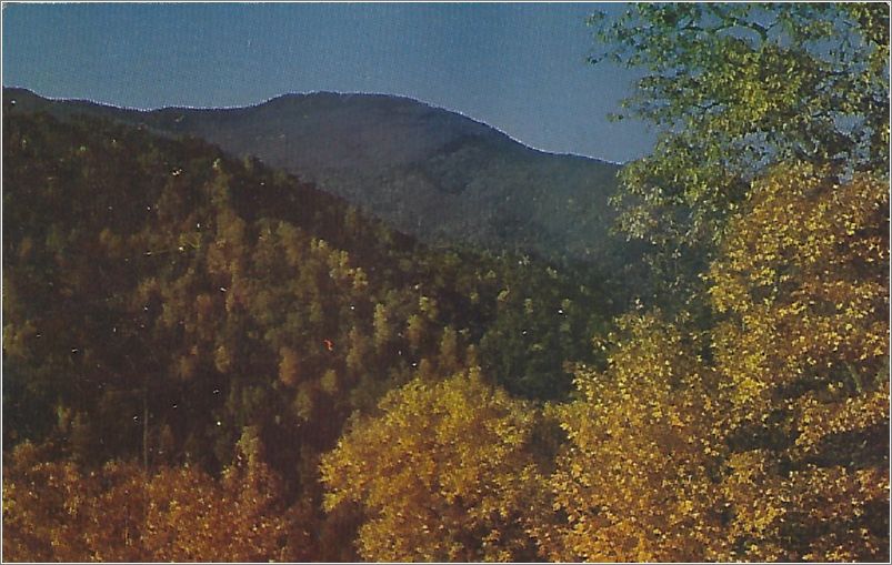 Mt Mitchell, Elevation 6684 ft, Blue Ridge Parkway, North Carolina x19-npcsc940a01-f
