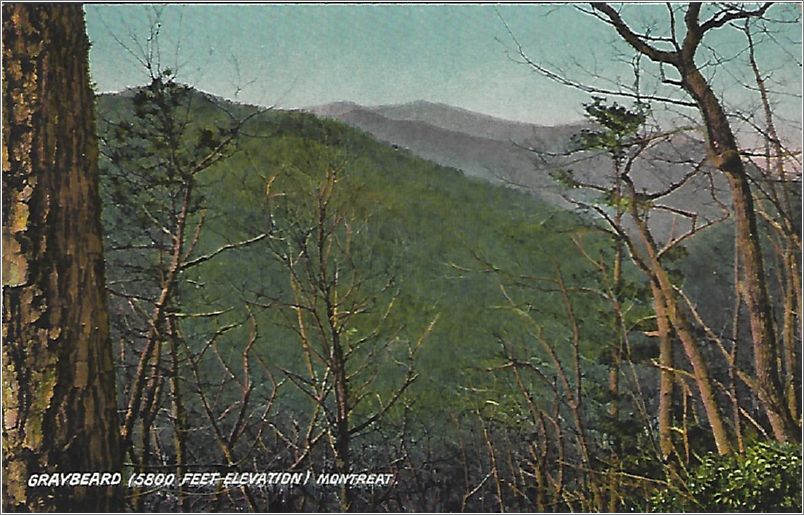 Graybeard (5800 feet elevation) Montreat x19-presb203407a01-f