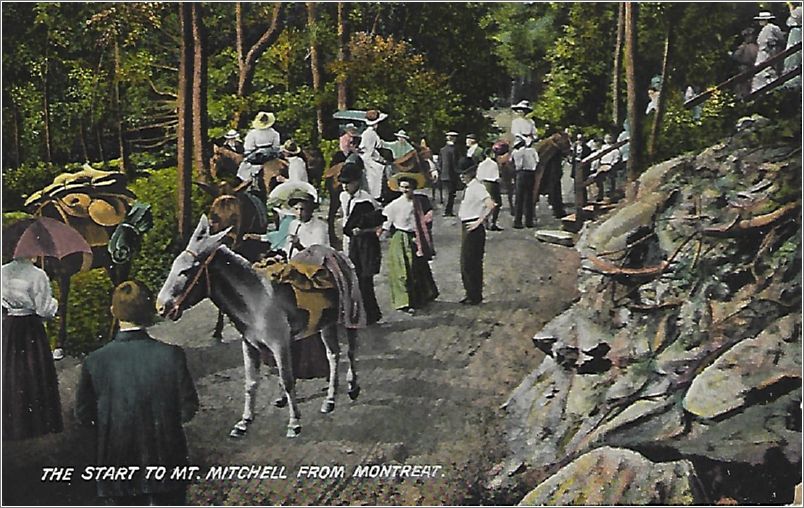 The Start to Mt. Mitchell from Montreat (horseback with donkey) x19-presb203421a01-f