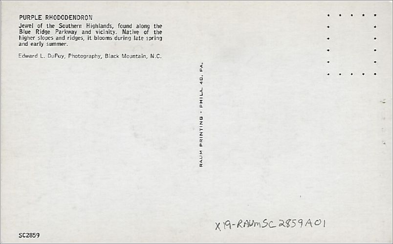 x19-raumsc2859a01-r x19-raumsc2859a01-r