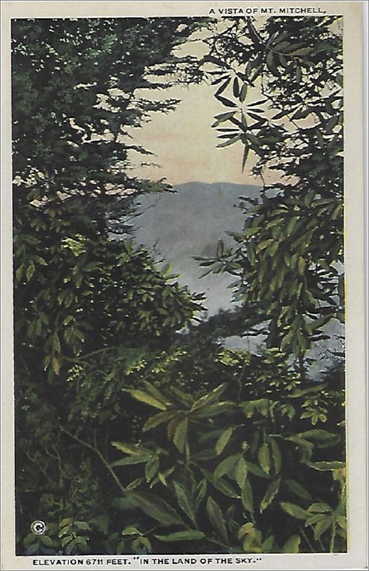 A Vista of Mt. Mitchell, elevation 6711 feet 