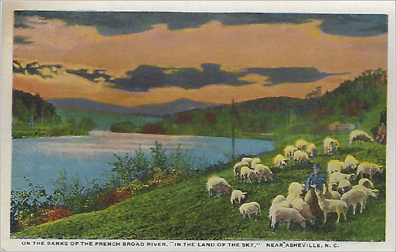 On the banks of the French Broad River 