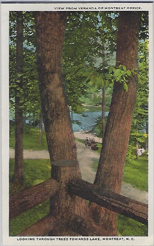 View from Veranda of Montreat Office, Looking through trees towards Lake, Montreat NC x19-spc0b608a01-f