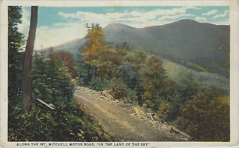 Along the Mt Mitchell Motor Road, 