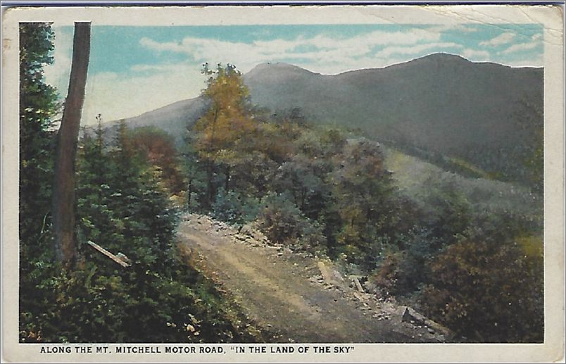 Along the Mt Mitchell Motor Road, 