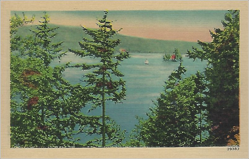 (unmarked) lake through trees (no publisher, has 1484 - 12 - DES where publisher could be printed) x19-unk038-39387-a01-f