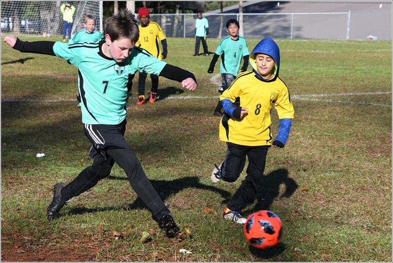 NAC_4289