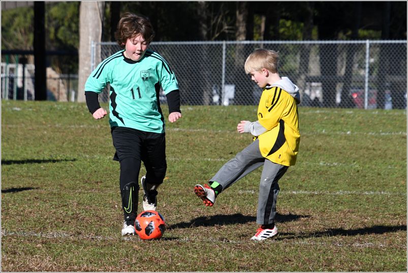 NAC_4570