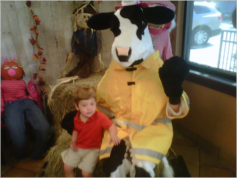 cow2011